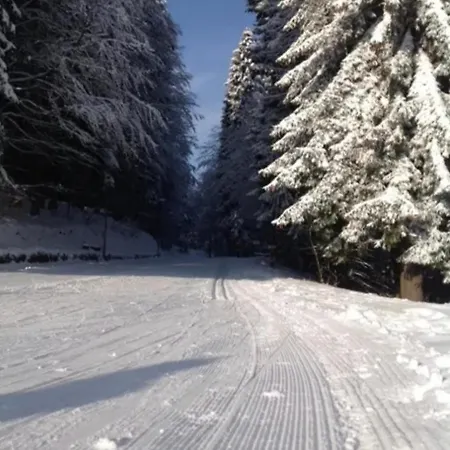 Lodge Mezzo Montagna *