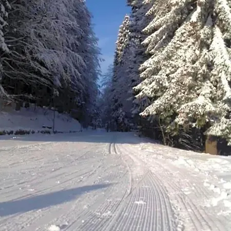 Mezzo Montagna *