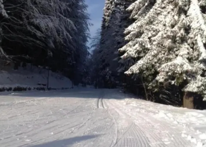 Lodge Mezzo Montagna *